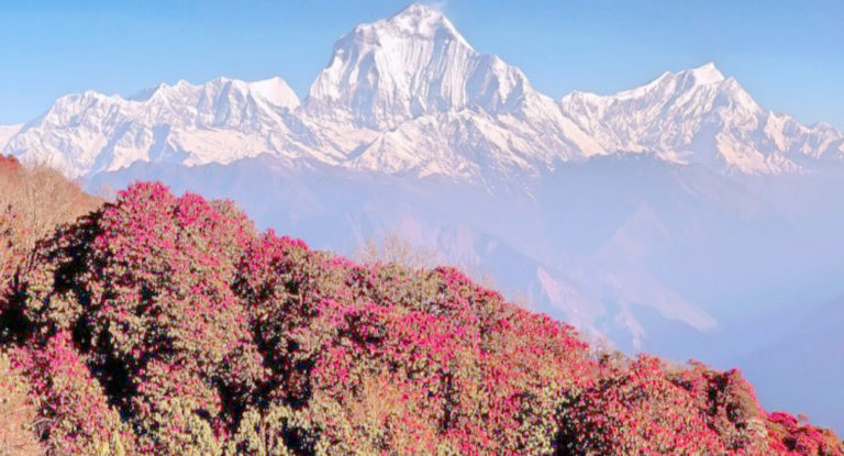 Mardi Himal Trek