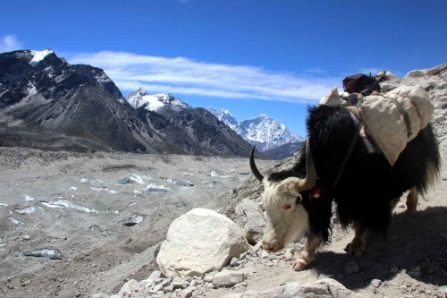 Annapurna Base Camp y Circuito desde España 2026–2027